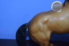 Load image into Gallery viewer, Diablo-Buckskin Mustang-Semi Rearing Mold-Breyer Traditional