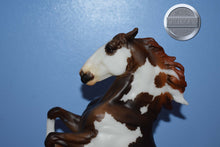 Load image into Gallery viewer, This Is My Fight Song-No Base Variation-Breyerfest Exclusive-Lipizzaner Mold-Breyer Traditional