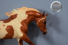 Load image into Gallery viewer, Glossy Pintaloosa-Weathergirl Mold-Breyer Traditional