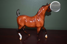 Load image into Gallery viewer, Lugh-Breyerfest Exclusive-Sham Mold-Breyer Traditional