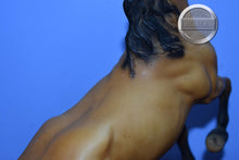 Load image into Gallery viewer, Diablo-Buckskin Mustang-Semi Rearing Mold-Breyer Traditional