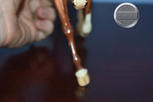 Load image into Gallery viewer, Glossy Pintaloosa-Weathergirl Mold-Breyer Traditional