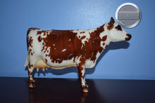 Load image into Gallery viewer, Elsa-Web Special-Normande Cow Mold-Breyer Traditional