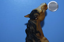 Load image into Gallery viewer, Diablo-Buckskin Mustang-Semi Rearing Mold-Breyer Traditional