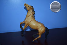 Load image into Gallery viewer, Diablo-Buckskin Mustang-Semi Rearing Mold-Breyer Traditional