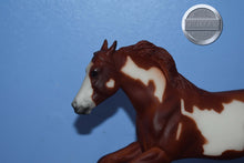 Load image into Gallery viewer, Wahoo King-Horse Only-Wahoo King Mold-Breyer Classic