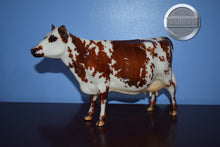 Load image into Gallery viewer, Elsa-Web Special-Normande Cow Mold-Breyer Traditional