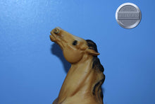 Load image into Gallery viewer, Diablo-Buckskin Mustang-Semi Rearing Mold-Breyer Traditional