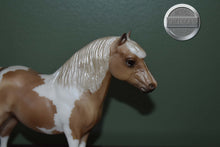 Load image into Gallery viewer, Mittens-Holiday Exclusive-Pony Only-Shetland Pony Mold-Breyer Traditional