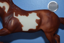 Load image into Gallery viewer, Wahoo King-Horse Only-Wahoo King Mold-Breyer Classic