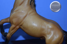 Load image into Gallery viewer, Diablo-Buckskin Mustang-Semi Rearing Mold-Breyer Traditional