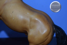 Load image into Gallery viewer, Diablo-Buckskin Mustang-Semi Rearing Mold-Breyer Traditional