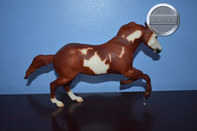 Load image into Gallery viewer, Wahoo King-Horse Only-Wahoo King Mold-Breyer Classic