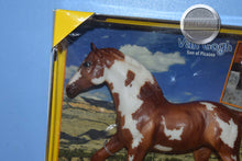 Load image into Gallery viewer, Van Gogh-New in Box-Action Stock Foal Mold-Breyer Traditional
