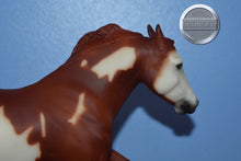 Load image into Gallery viewer, Wahoo King-Horse Only-Wahoo King Mold-Breyer Classic