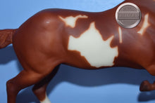 Load image into Gallery viewer, Wahoo King-Horse Only-Wahoo King Mold-Breyer Classic