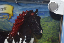 Load image into Gallery viewer, Black Forest-Breyerfest Exclusive-New in Box-Shire A Mold-Breyer Classic