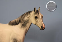 Load image into Gallery viewer, Treetops Glisten-FCM ISH Special Run-Peter Stone