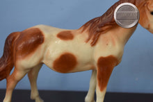 Load image into Gallery viewer, Pinto Mustang Mare-Breyer Classic