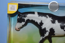 Load image into Gallery viewer, Zeke-TSC Exclusive-Zippo Pine Bar Mold-New in Box-Breyer Traditional