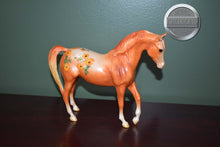 Load image into Gallery viewer, Calendula-Blossoms Collection-Johar Mold-Breyer Classic