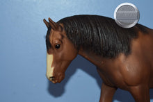 Load image into Gallery viewer, Bay Shire Mare-Shire Mare Mold-Breyer Traditional