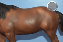 Load image into Gallery viewer, Bay Shire Mare-Shire Mare Mold-Breyer Traditional