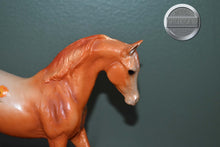 Load image into Gallery viewer, Calendula-Blossoms Collection-Johar Mold-Breyer Classic