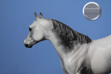Load image into Gallery viewer, Treetops Glisten-FCM ISH Special Run-Peter Stone