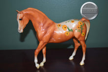 Load image into Gallery viewer, Calendula-Blossoms Collection-Johar Mold-Breyer Classic
