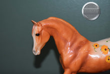 Load image into Gallery viewer, Calendula-Blossoms Collection-Johar Mold-Breyer Classic