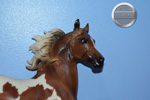 Load image into Gallery viewer, Pinto Arabian Stallion-JCP Exclusive-Huckleberry Bey Mold-Breyer Traditional