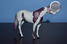 Load image into Gallery viewer, Holly-Purple OOAK-Stockhorse Chip Mold-Peter Stone Chip