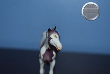 Load image into Gallery viewer, Holly-Purple OOAK-Stockhorse Chip Mold-Peter Stone Chip