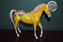 Load image into Gallery viewer, Aster-Blossoms Collection-Johar Mold-Breyer Classic