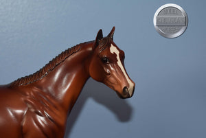 DAH ISH-Braided Mane-FCM ISH-Peter Stone
