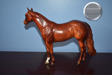 Load image into Gallery viewer, DAH ISH-Braided Mane-FCM ISH-Peter Stone