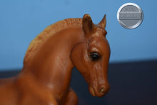 Load image into Gallery viewer, Chestnut Lying Foal-Lying Foal Mold-Breyer Traditional