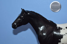 Load image into Gallery viewer, Treasure Hunt Appaloosa-Short Tail-Lady Phase Mold-Breyer Traditional