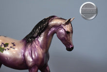 Load image into Gallery viewer, Violet-Blossoms Collection-Johar Mold-Breyer Classic