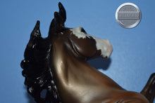Load image into Gallery viewer, Silver Dun Sabino-From Treasure Hunt Series-Silver Mold-Breyer Traditional