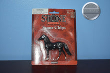 Load image into Gallery viewer, Morgan Chip-New in Box-Morgan Chip Mold-Peter Stone