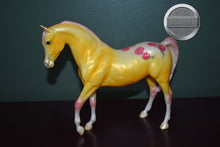 Load image into Gallery viewer, Aster-Blossoms Collection-Johar Mold-Breyer Classic