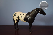 Load image into Gallery viewer, Treasure Hunt Appaloosa-Short Tail-Lady Phase Mold-Breyer Traditional
