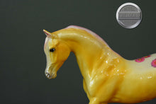 Load image into Gallery viewer, Aster-Blossoms Collection-Johar Mold-Breyer Classic
