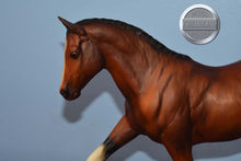 Load image into Gallery viewer, Gifted-Hanoverian Mold-Breyer Traditional