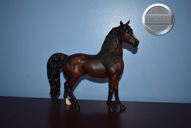 Bay Morgan-Kennebec Count Mold-Breyer Traditional