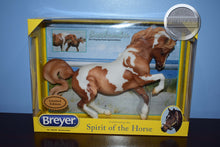 Load image into Gallery viewer, Beachcomber-Connemara Mare Mold-New in Box-Breyer Traditional