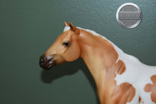Load image into Gallery viewer, Palomino Paint Lady Phase-Short Tail Version-Lady Phase Mold-Breyer Traditional