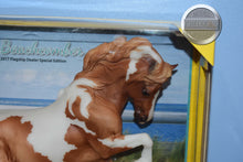 Load image into Gallery viewer, Beachcomber-Connemara Mare Mold-New in Box-Breyer Traditional
